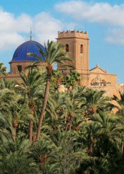 Elche El Palmeral