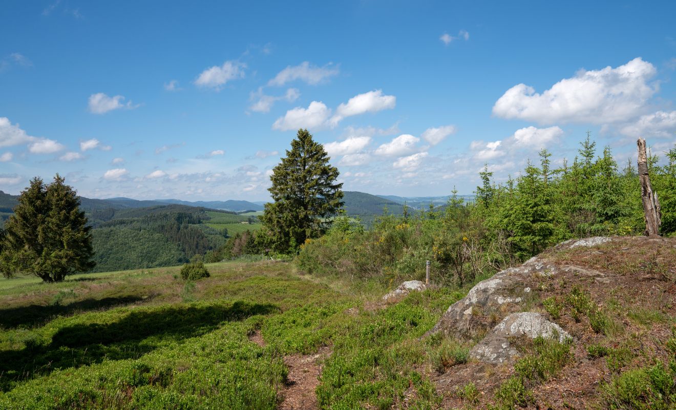 Wandelvakantie Sauerland