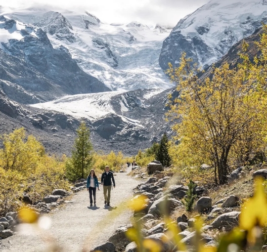 Morteratsch gletsjer Rando Reizen