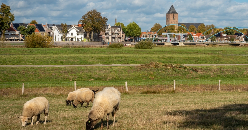 Dagwandeling Dalfsen