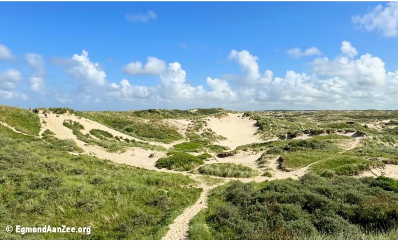 Duindoornroute Egmond aan zee