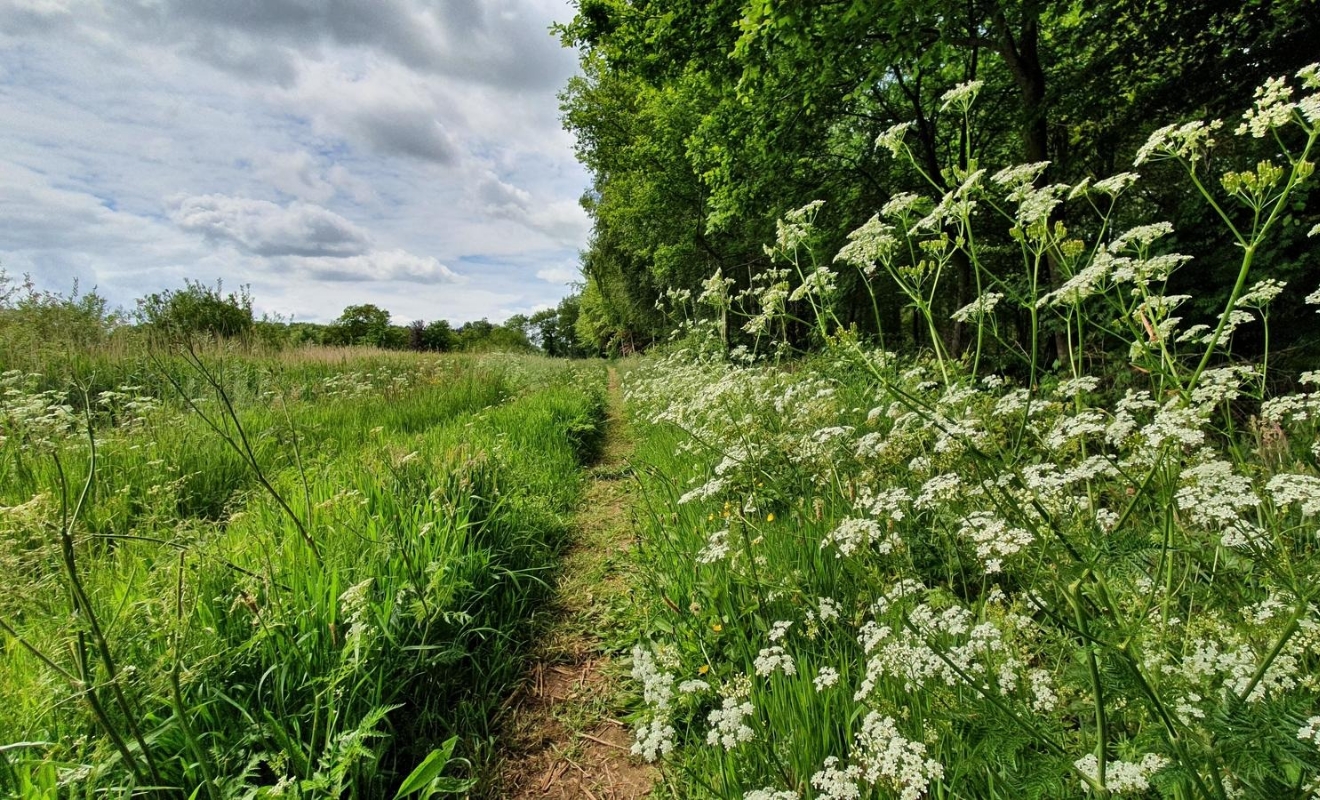 Wandelen Groene Wissel
