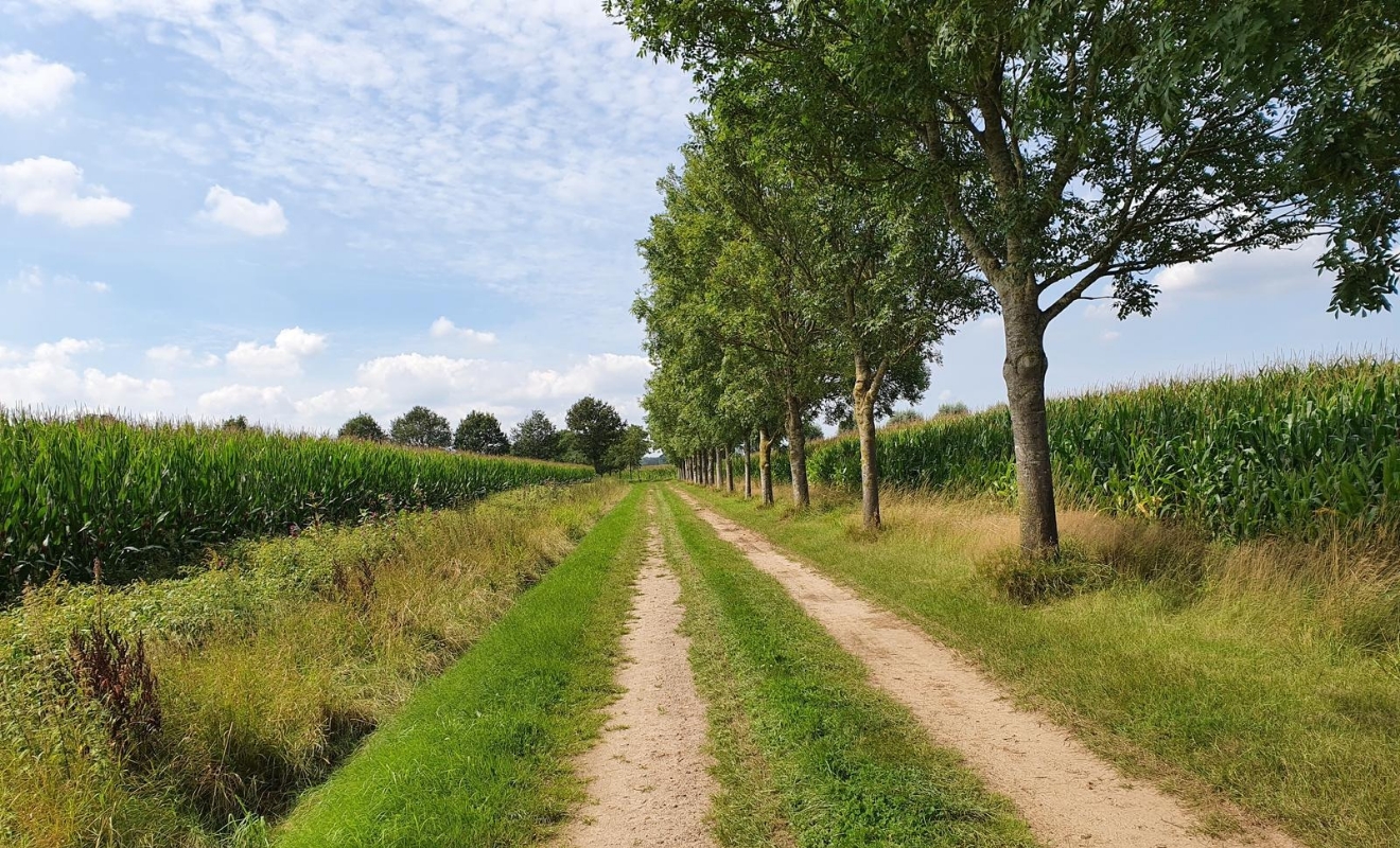 Wandeling Rando Reizen Dalfsen