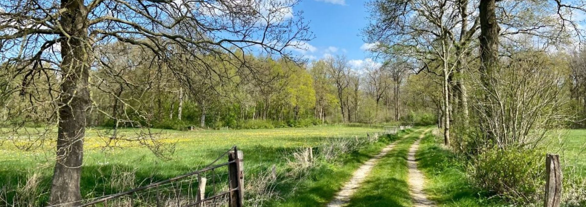 Wandeling Vechtdal Dalfsen
