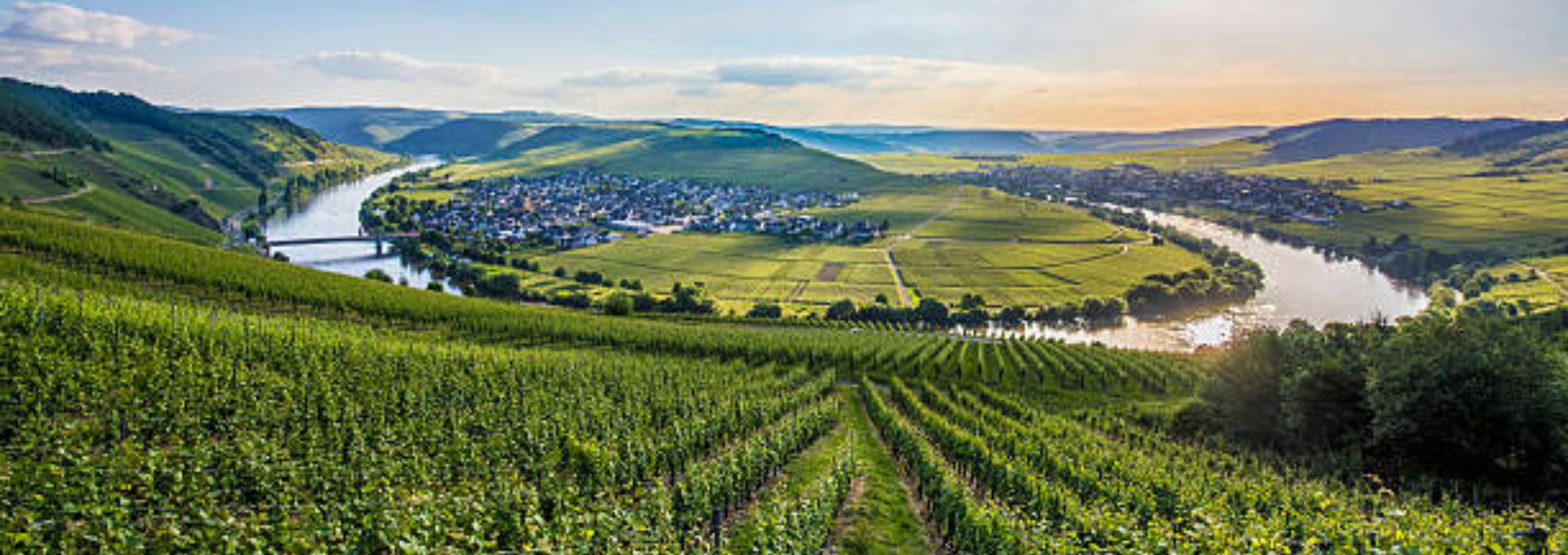Wandelvakantie Moezel