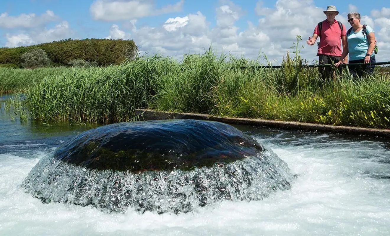 Waterzuivering de Kwal