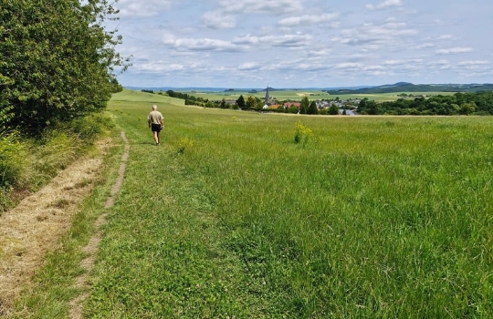 Wandelreis Moezel