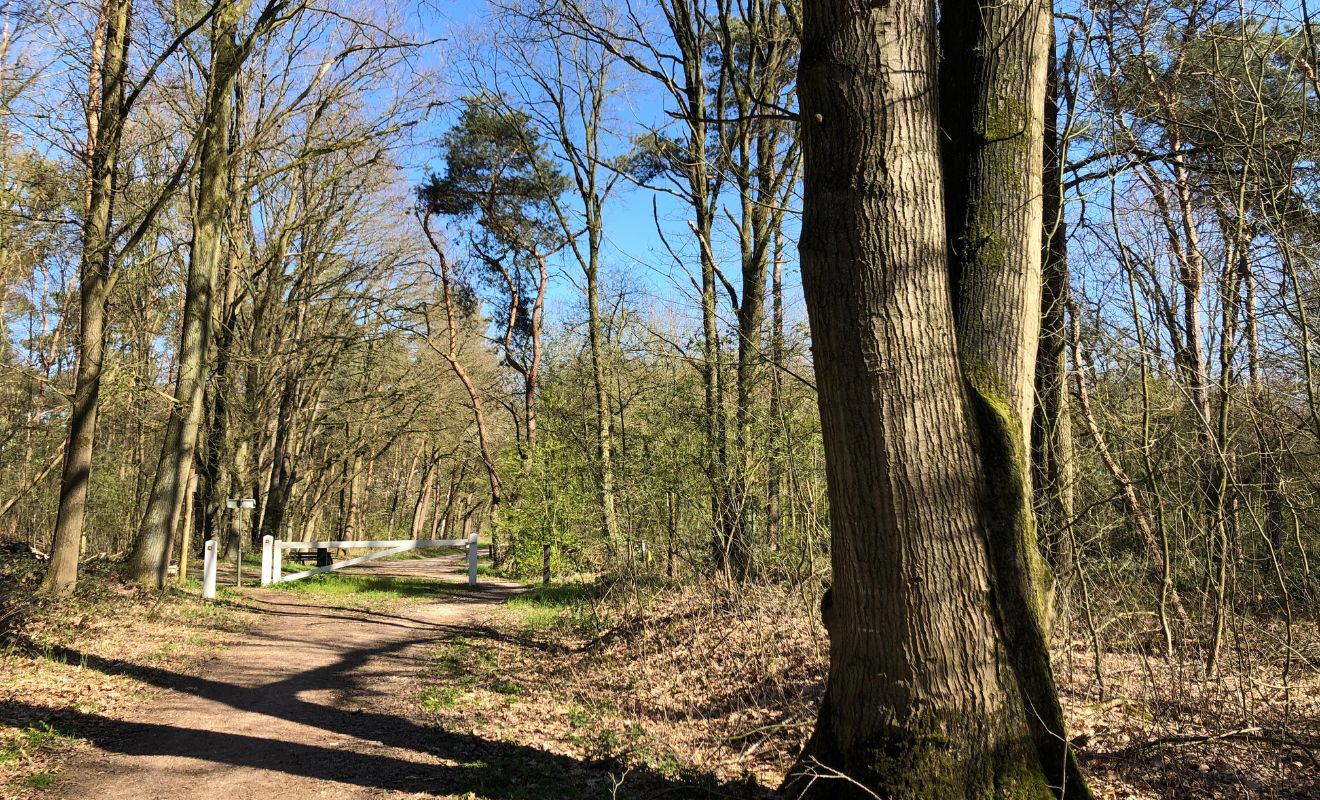 Wandelvakantie Maasduinen Rando Reizen