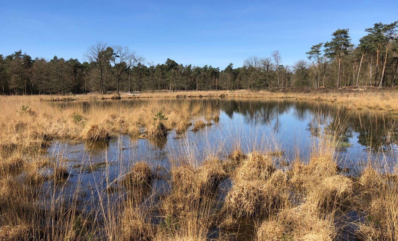 Wandelvakantie in Limburg Rando Reizen