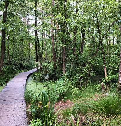Wandelvakantie in noord limburg