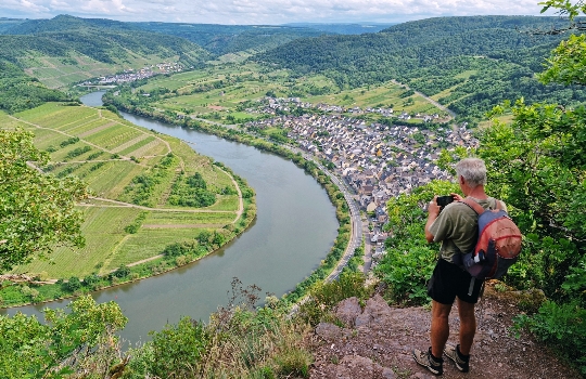 WandelvHerfstkleuren langs de Moezel tijdens een wandelvakantie najaarakantie najaar Moezel