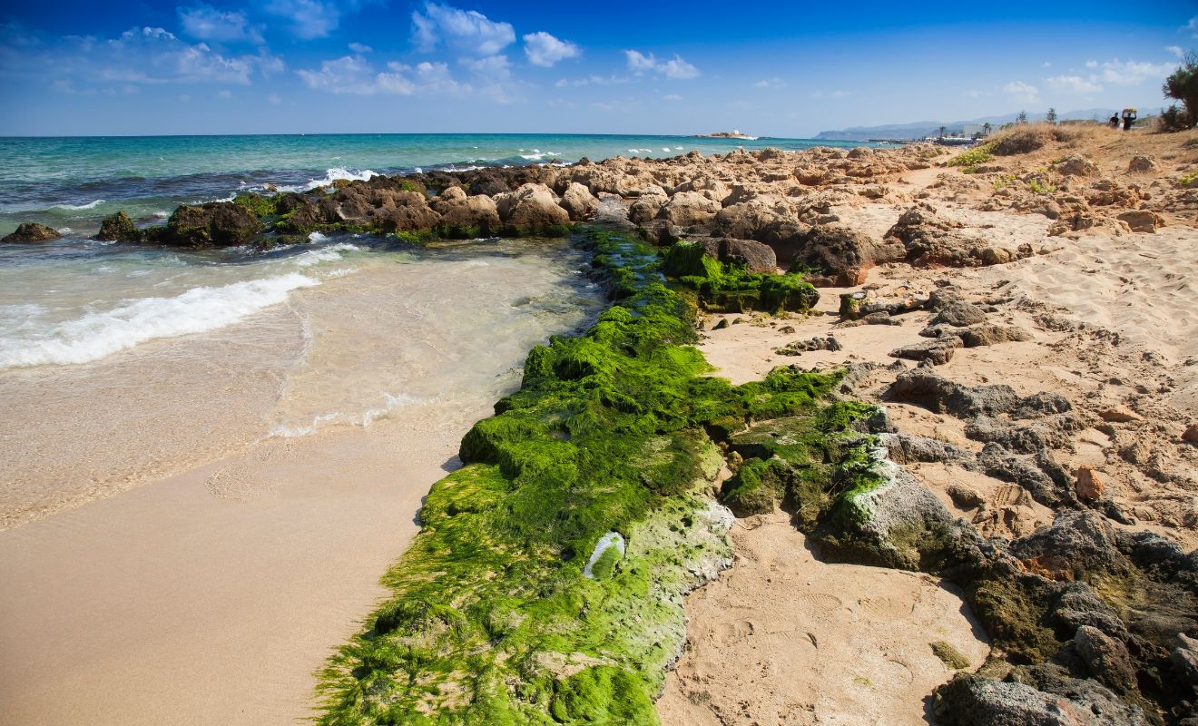 Wandelvakantie Malia strand