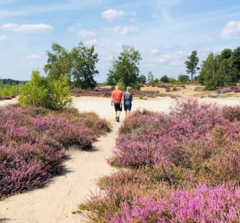 Wandelvakantie Nederland