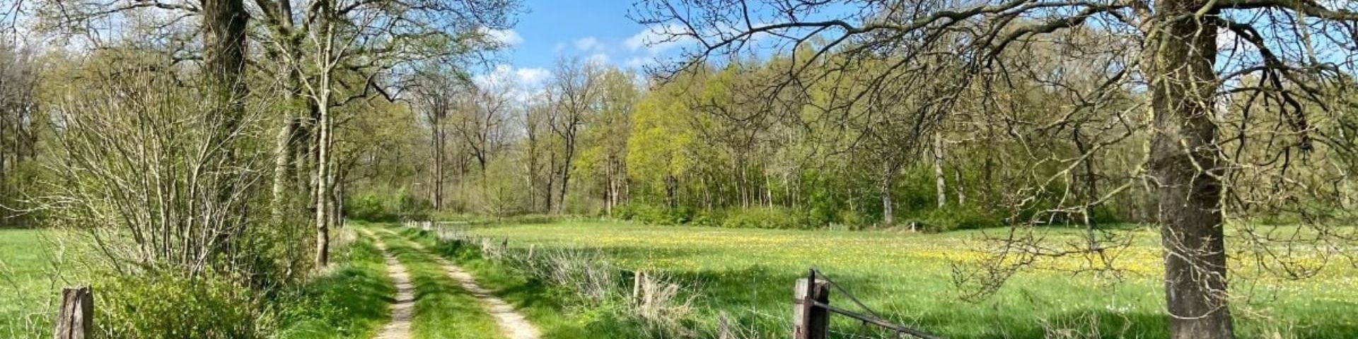 Wandelvakantie in Nederland