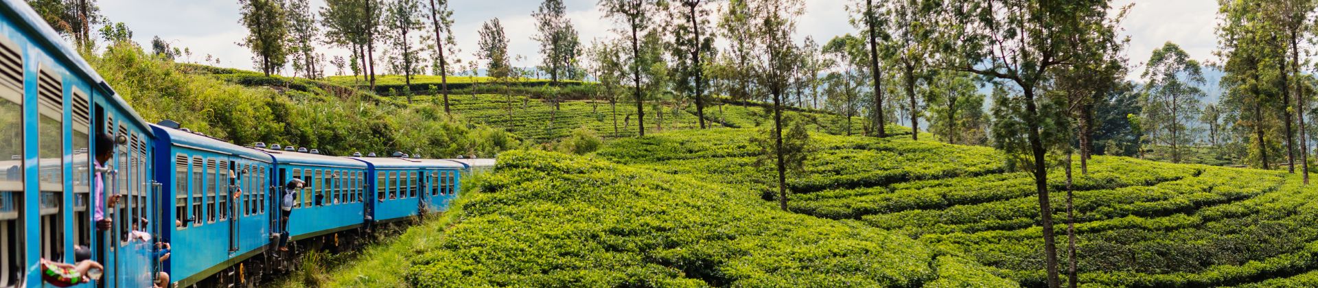 Rondreis Sri Lanka