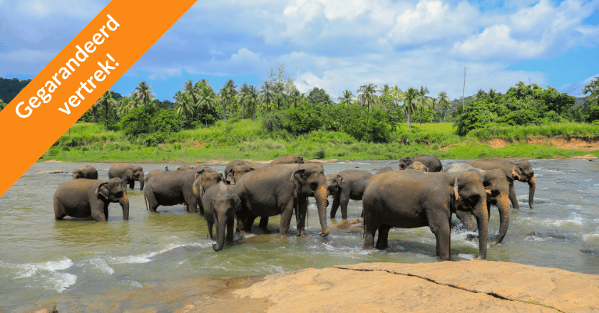 Sri Lanka rondreis Actief Overwinteren
