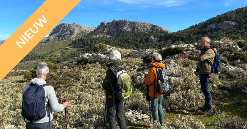 Actief Overwinteren Mallorca