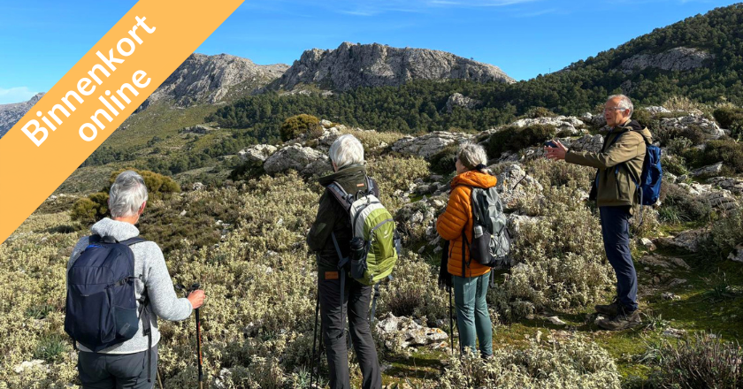 Actief Overwinteren op Mallorca BO