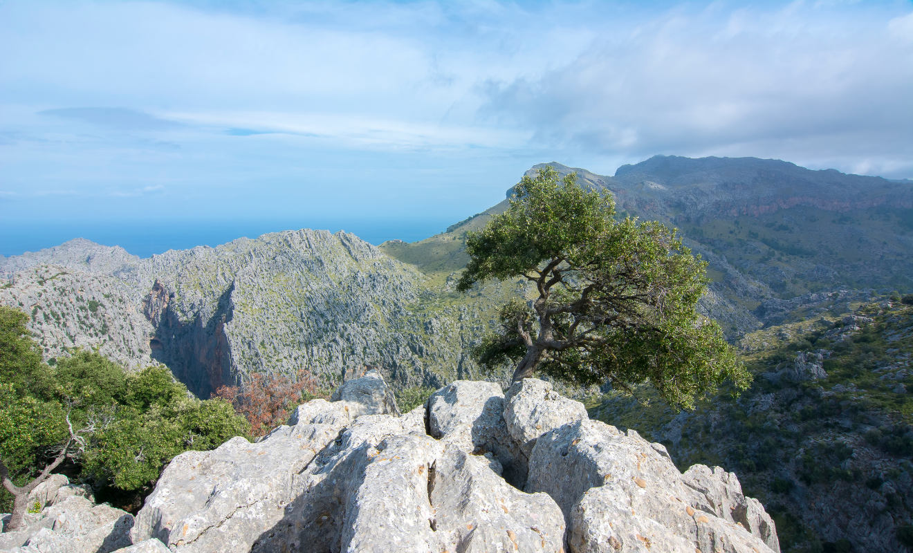 Wandelen Serra de Tramuntana