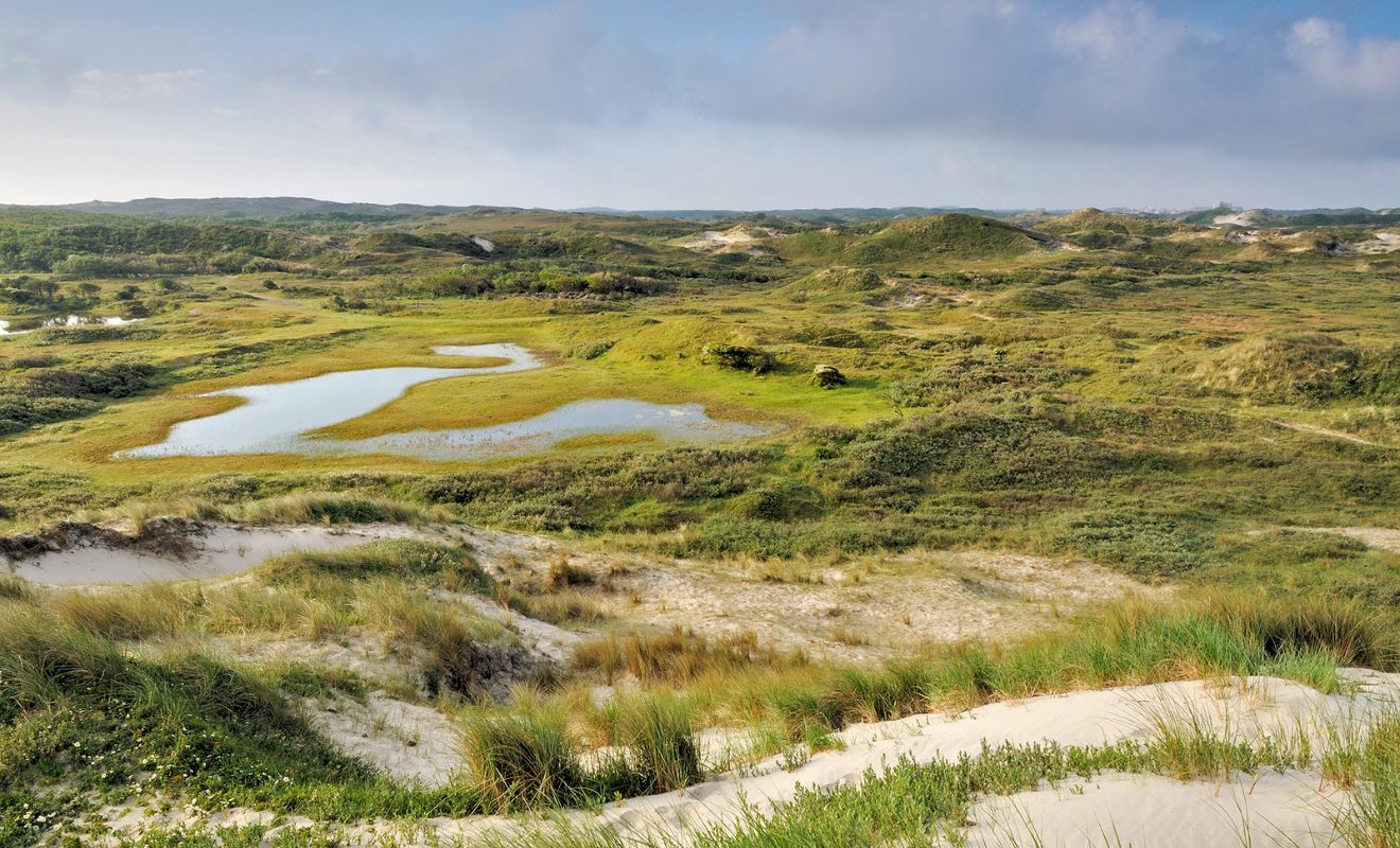 Duinmeren Egmond Binnen