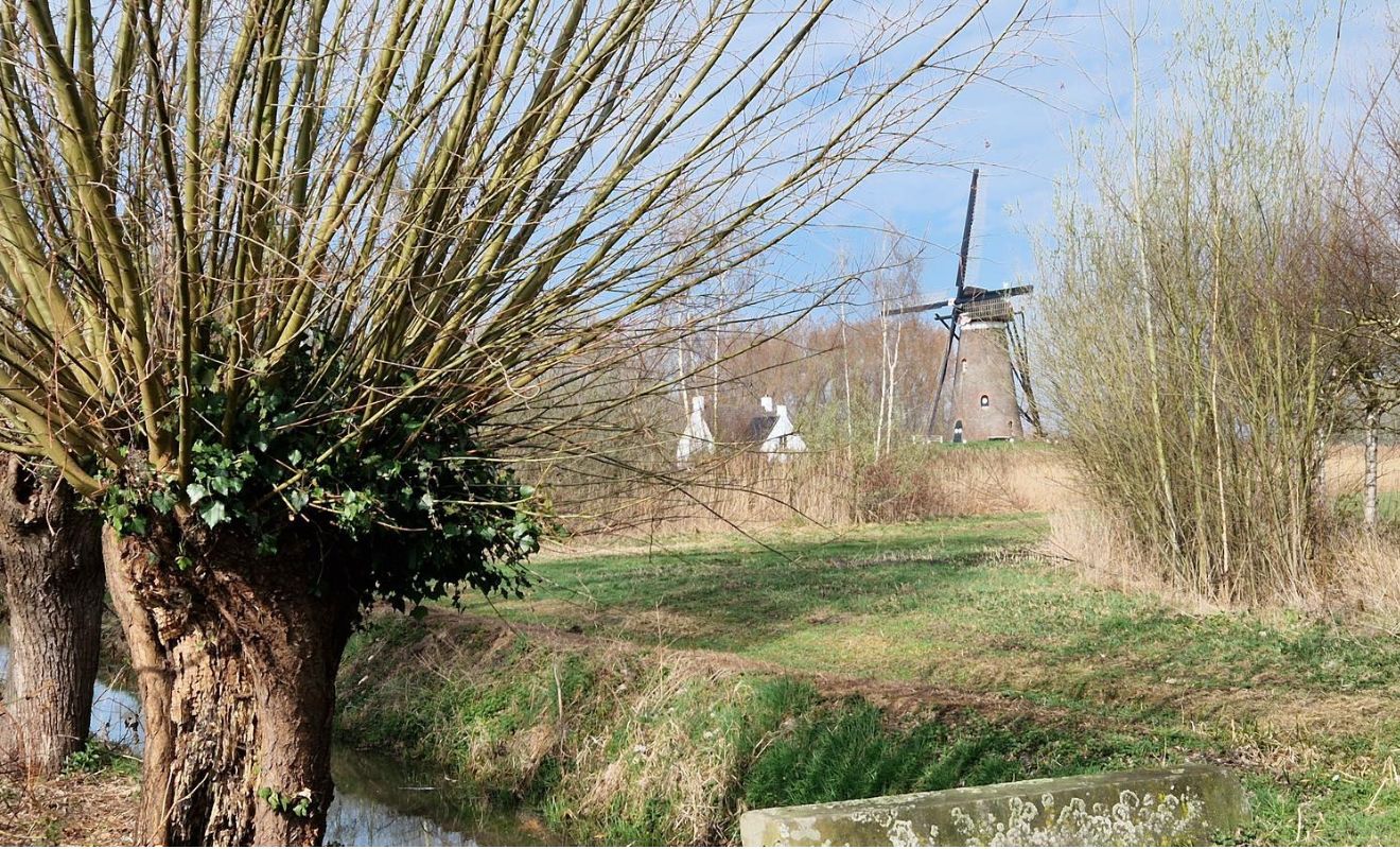 Molen van Vincent van Gogh