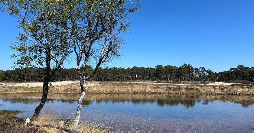 Dagwandeling Driebergen met Rando Reizen