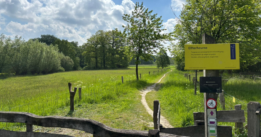 Dagwandeling Oldenzaal Rando Reizen