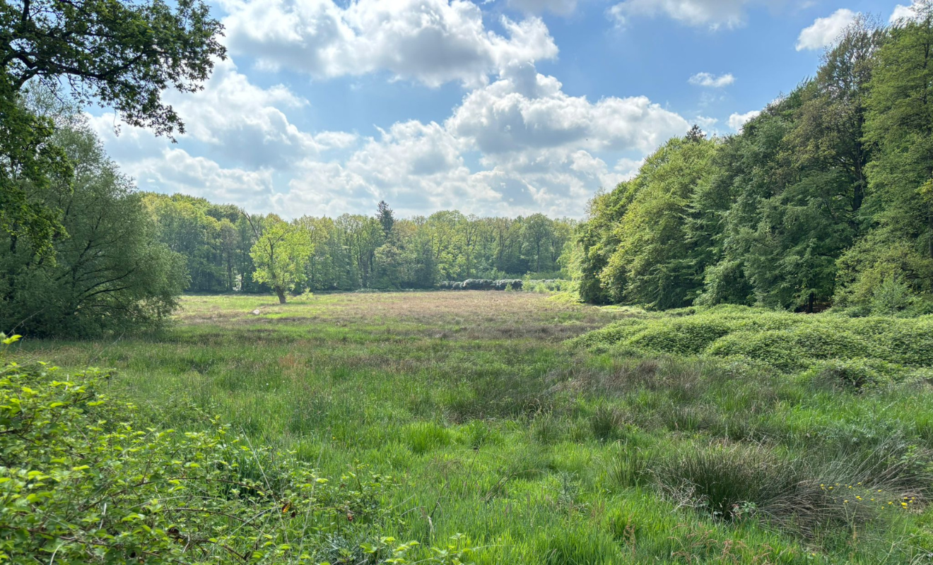 Dagwandeling Oldenzaal Twents coulissenlandschap