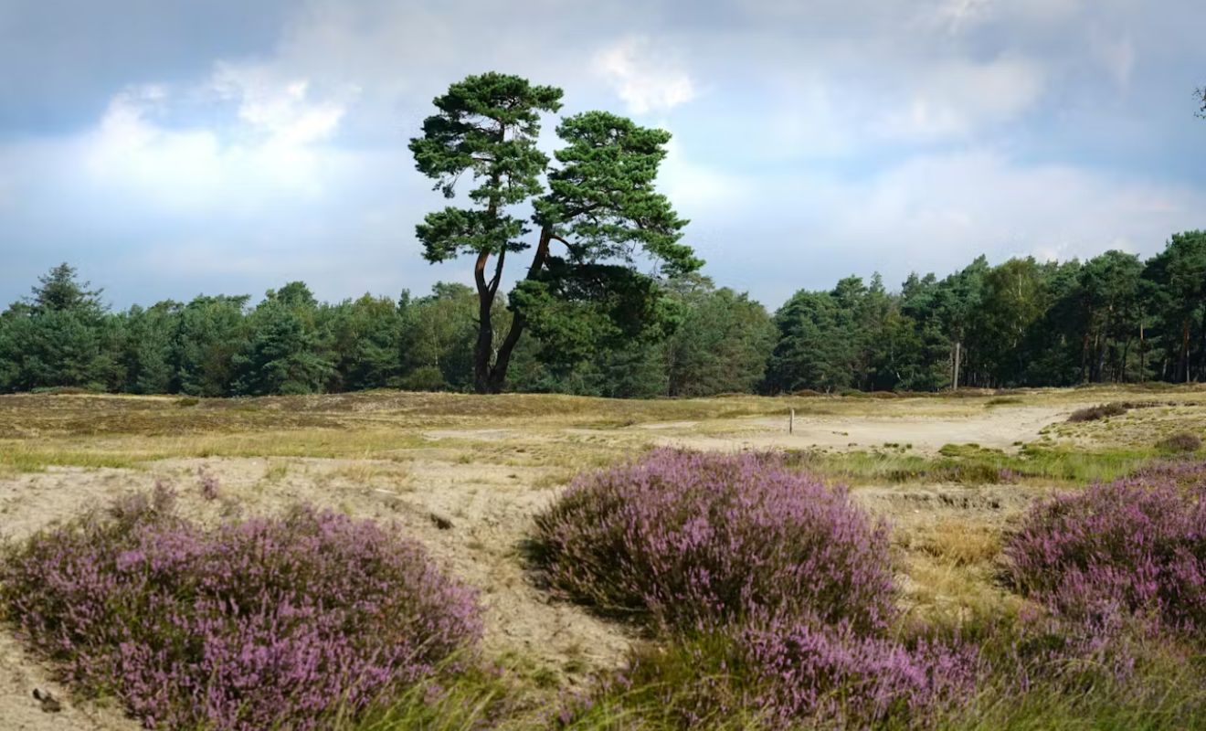 Landgoed Bornia