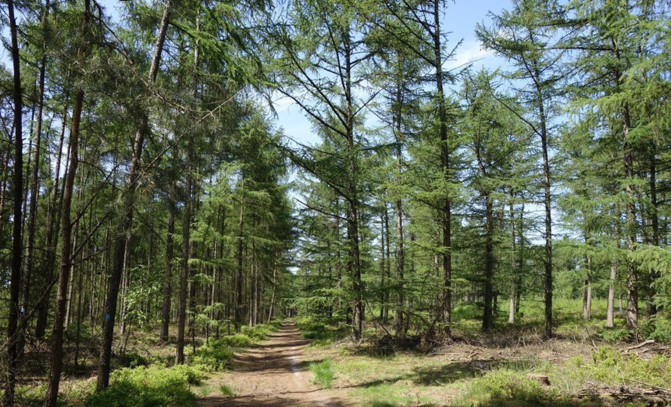 Landgoed den Treek