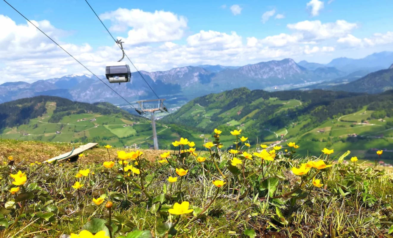 Wandelvakantie Wildschonau Markbachjochbahn