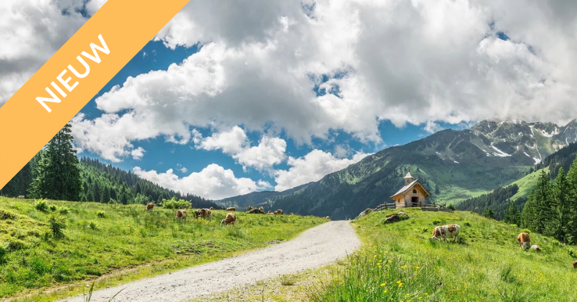 Wandelvakantie Wildschonau