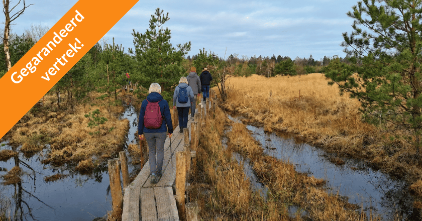 Wandelvakantie Dwingelderveld Gegarandeerd Vertrek