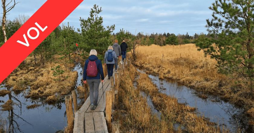 Wandelvakantie Dwingelderveld Volgeboekt