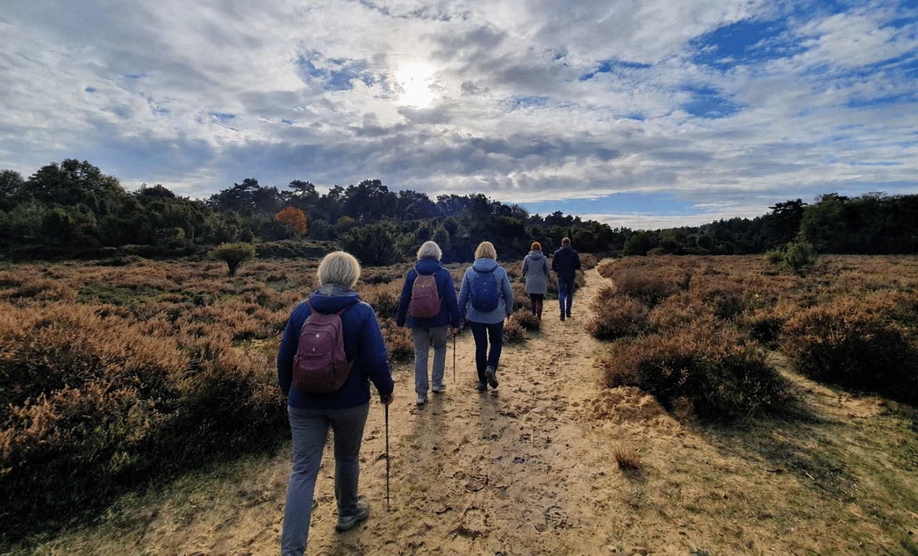 Wandelvakantie Dwingelerveld