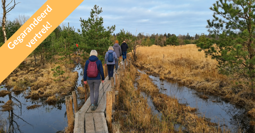 Wandelvakantie Oud en Nieuw Dwingelerveld GV