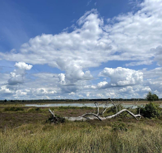 dwingelerveld ven heide drenthe