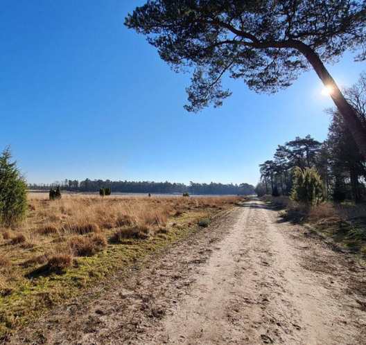 wandelen dwingelerveld heidepad