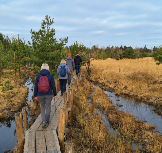wandelvakantie dwingelerveld vlonderpad