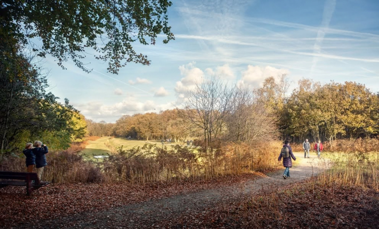 Dagwandeling Amsterdamse Waterleidingduinen