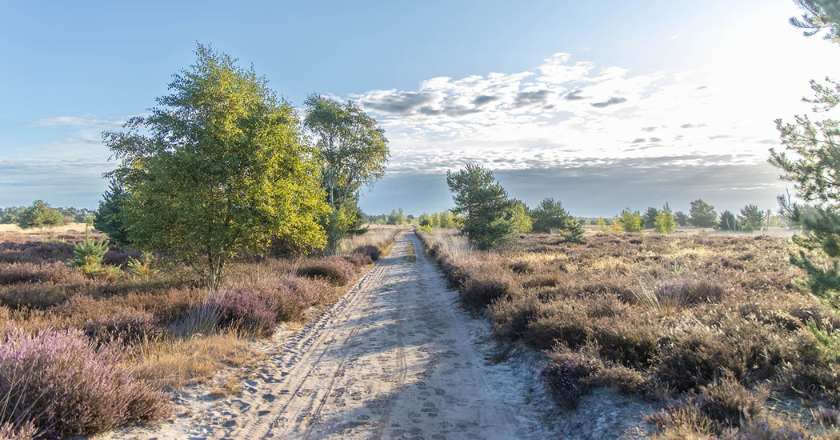 Dagwandeling Heeze met Rando Reizen