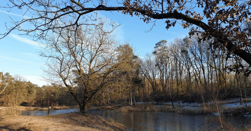 Dagwandeling Schaijk met Rando Reizen